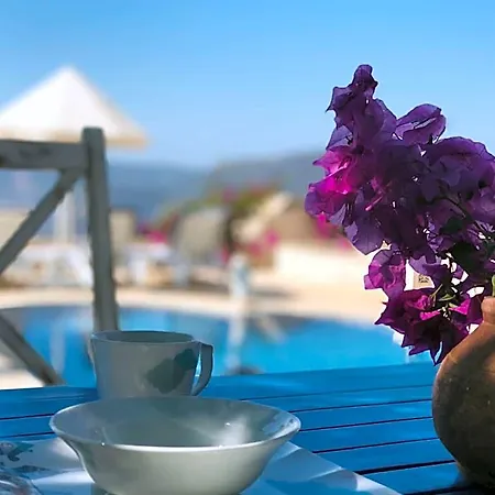 Sultan Kalkan 카스